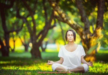 看球通-曼城世俱杯国内权威媒体资源汇总与报道深度解析