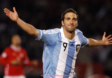 看球通-员工专属健身房应配备哪些基础健身器材？